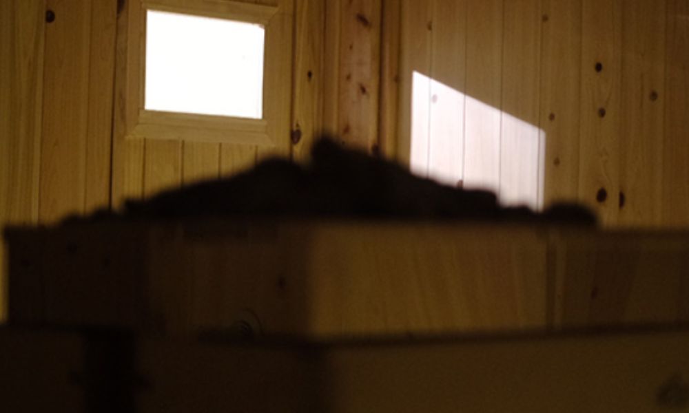 LEPO by TAKIVILLAGE（いすみ市作田）