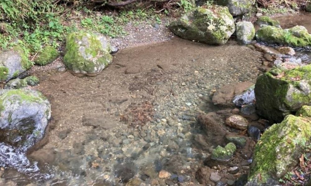 喜多川キャンピングベース（飯能市北川）