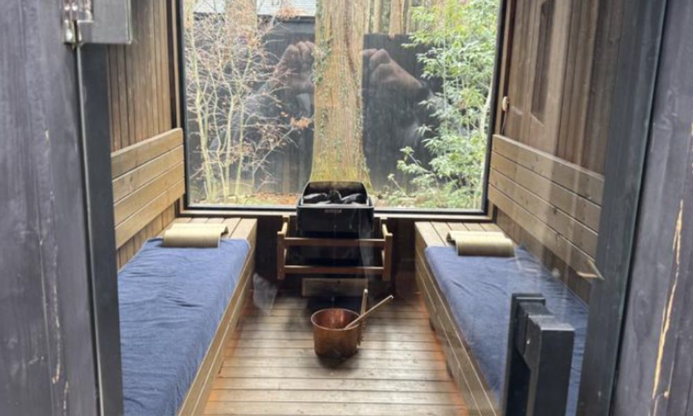 Render Fika Sammu（山武市麻生新田）