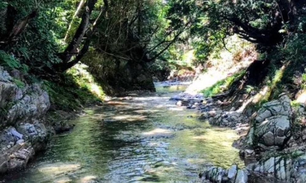 enne sauna（河内長野市寺元）