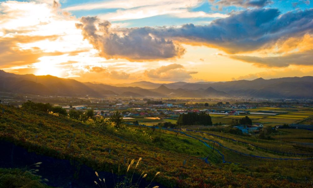 蔵王ウッディファーム ワイナリーコテージ（上山市原口）