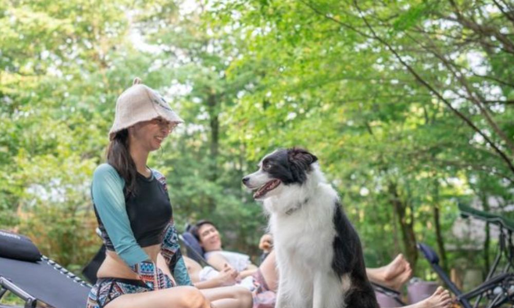 Mr.Forest（那須郡那須町）
