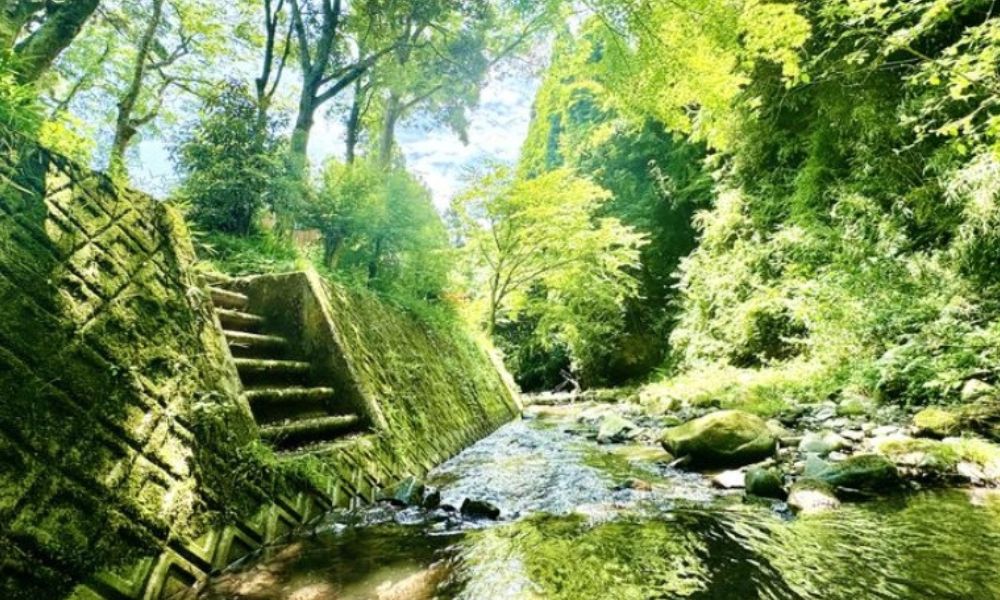 GOLDEN BACK barber & villa（いなべ市）