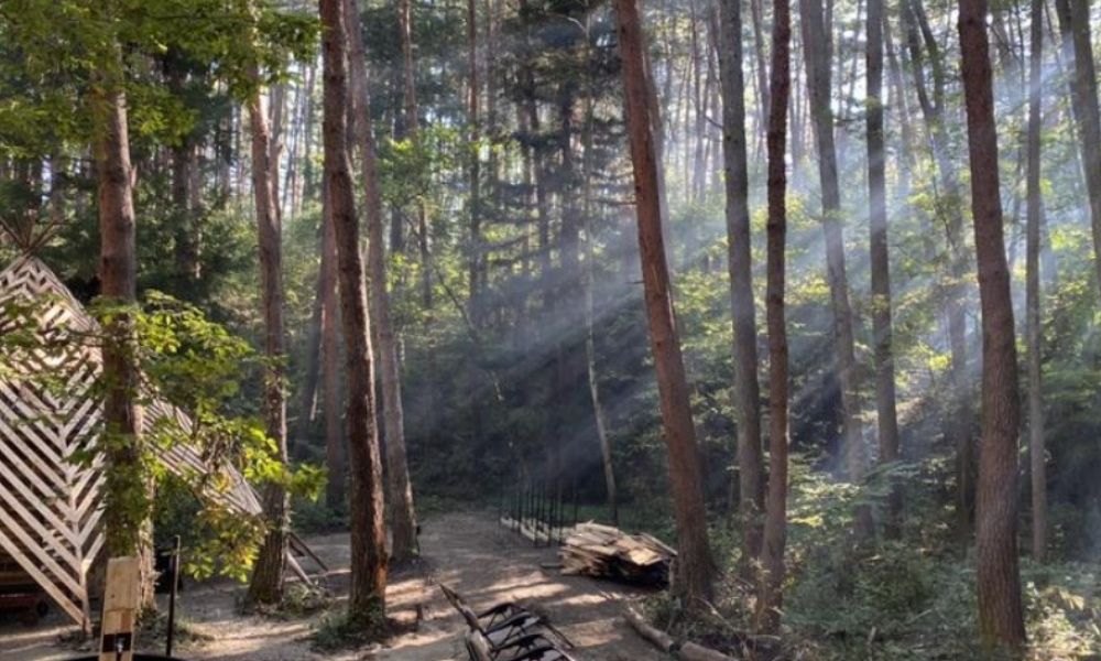 FOLKWOOD（北杜市）