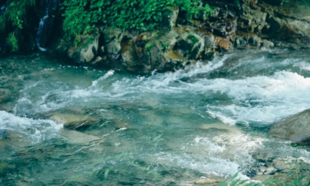 LOOF TINY HOUSE CAMP（笛吹市）