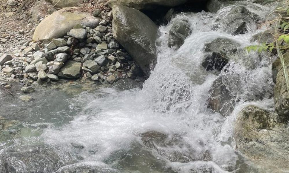 水源の森 キャンプ・ランド（南都留郡）