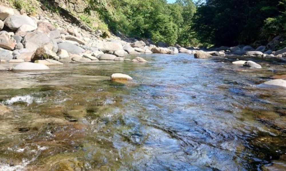 一色の森 プライベート・サウナ からまつ山荘（高山市）