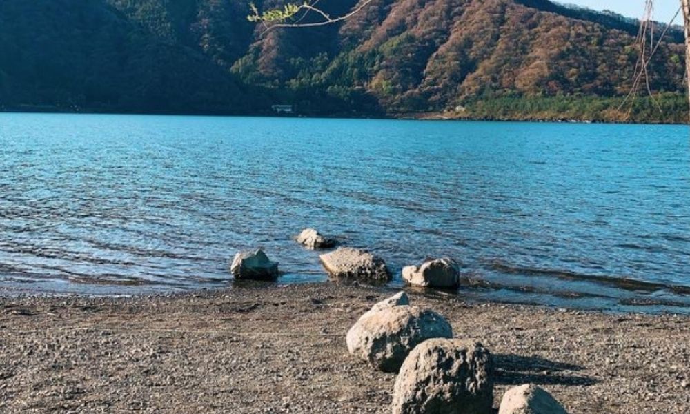 キャンプビレッジ GNOME（南都留郡）