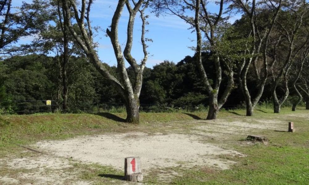 高萩ユーフィールド（高萩市下君田）