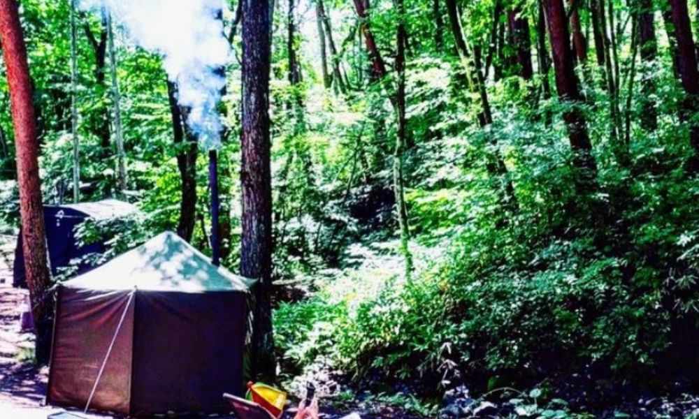 森の楽園ドラゴンサウナ（北杜市）