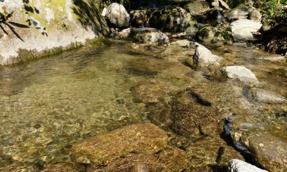 Cottage Views(屋久島町)