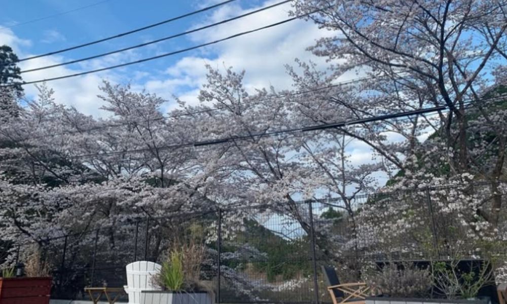 「おとなしの郷」WATAZE OUTDOOR（田辺市）