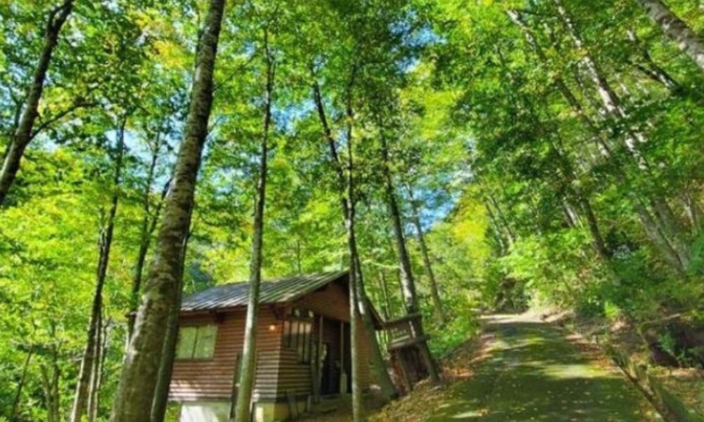 八東ふる里の森（八頭町）