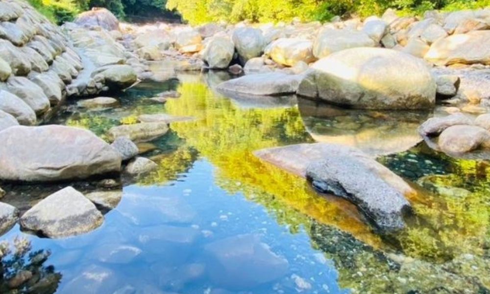 猿ヶ城渓谷 森の駅たるみず(垂水市)