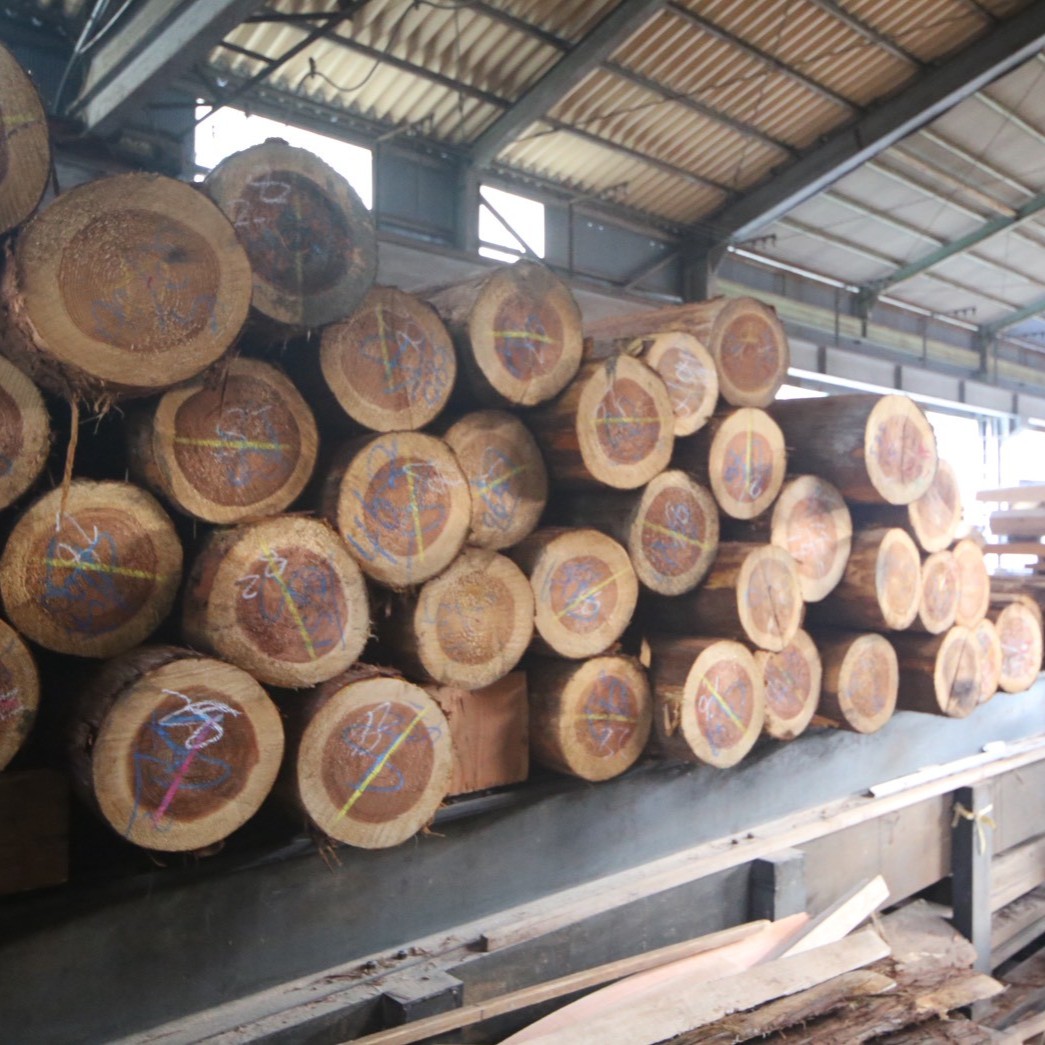 MORI SAUNA 屋外用サウナ ヒノキ材