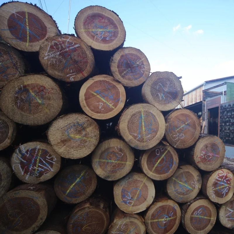 MORI SAUNA 屋外用サウナ ヒノキ